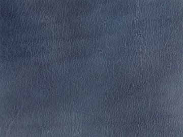 Primavera blu navy 04